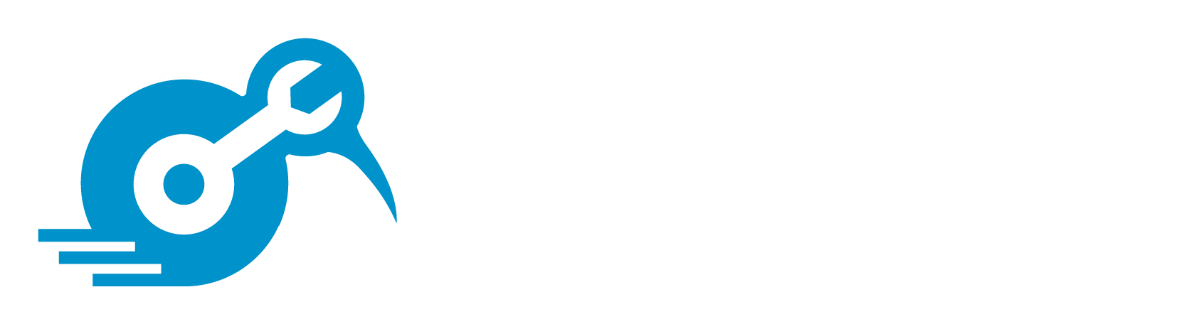 Gutachter Kiwi Logo